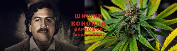 сатива Абаза