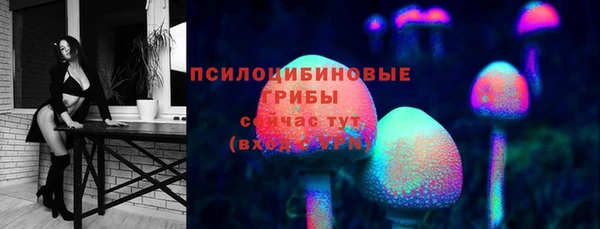 хмурый Абинск