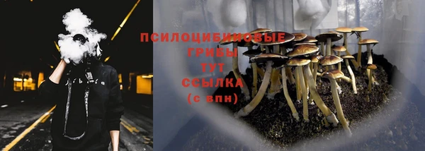 сатива Абаза