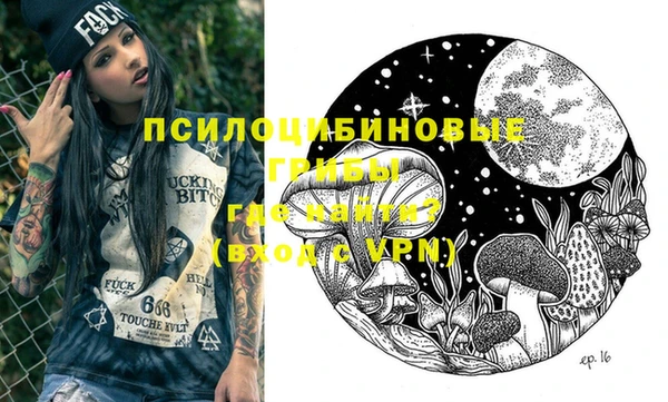 хмурый Абинск