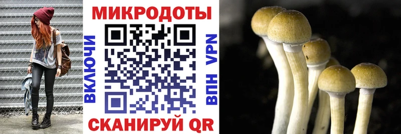 Псилоцибиновые грибы MAGIC MUSHROOMS  Тетюши 